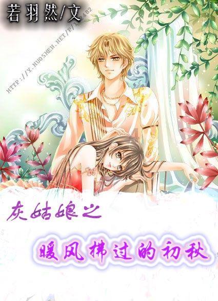 大师兄车机版
